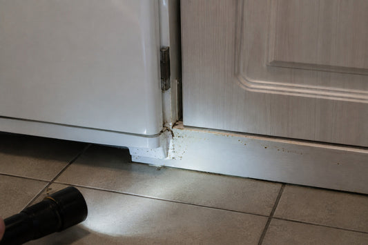 Dunkle Kotspuren markieren einen möglichen Schabenbefall am Küchensockel.