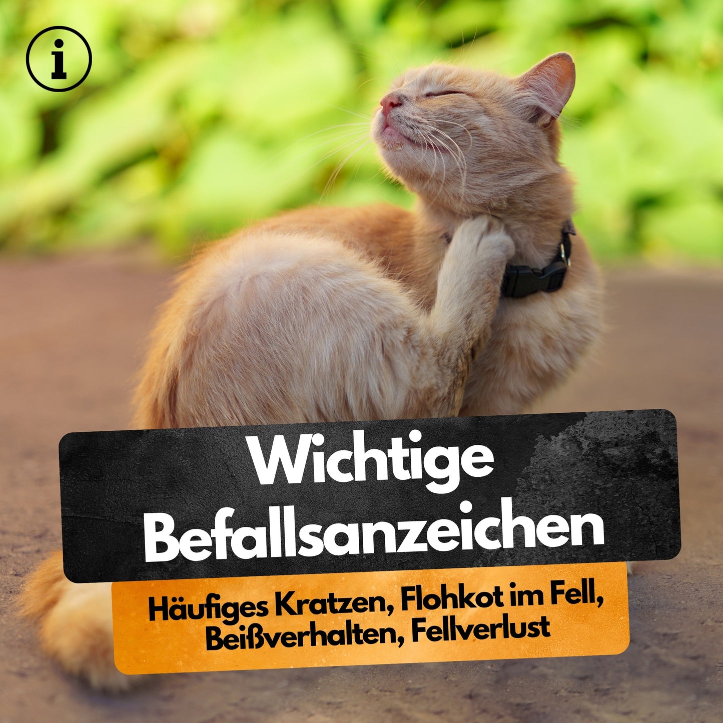 Spot On Repellent - 3 Tuben - Gegen Flöhe Zecken Läuse - Für Katzen und Hunde