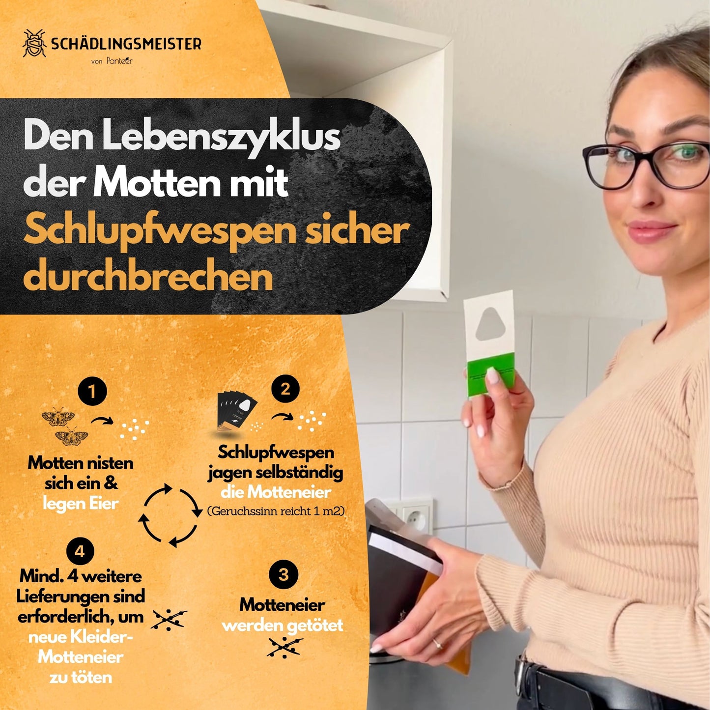 Schlupfwespen gegen Kleidermotten - 5 Lieferungen