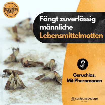 Mottenfalle Lebensmittel - 10 Stück Spar Set (Zur Bedarfskontrolle)