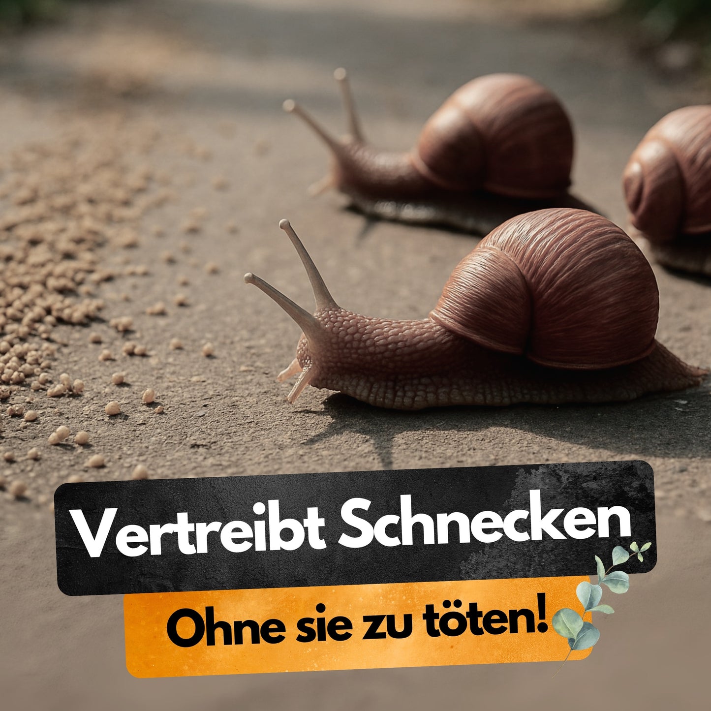 Schnecken Stopp Granulat - 500g - Abwehren nicht töten