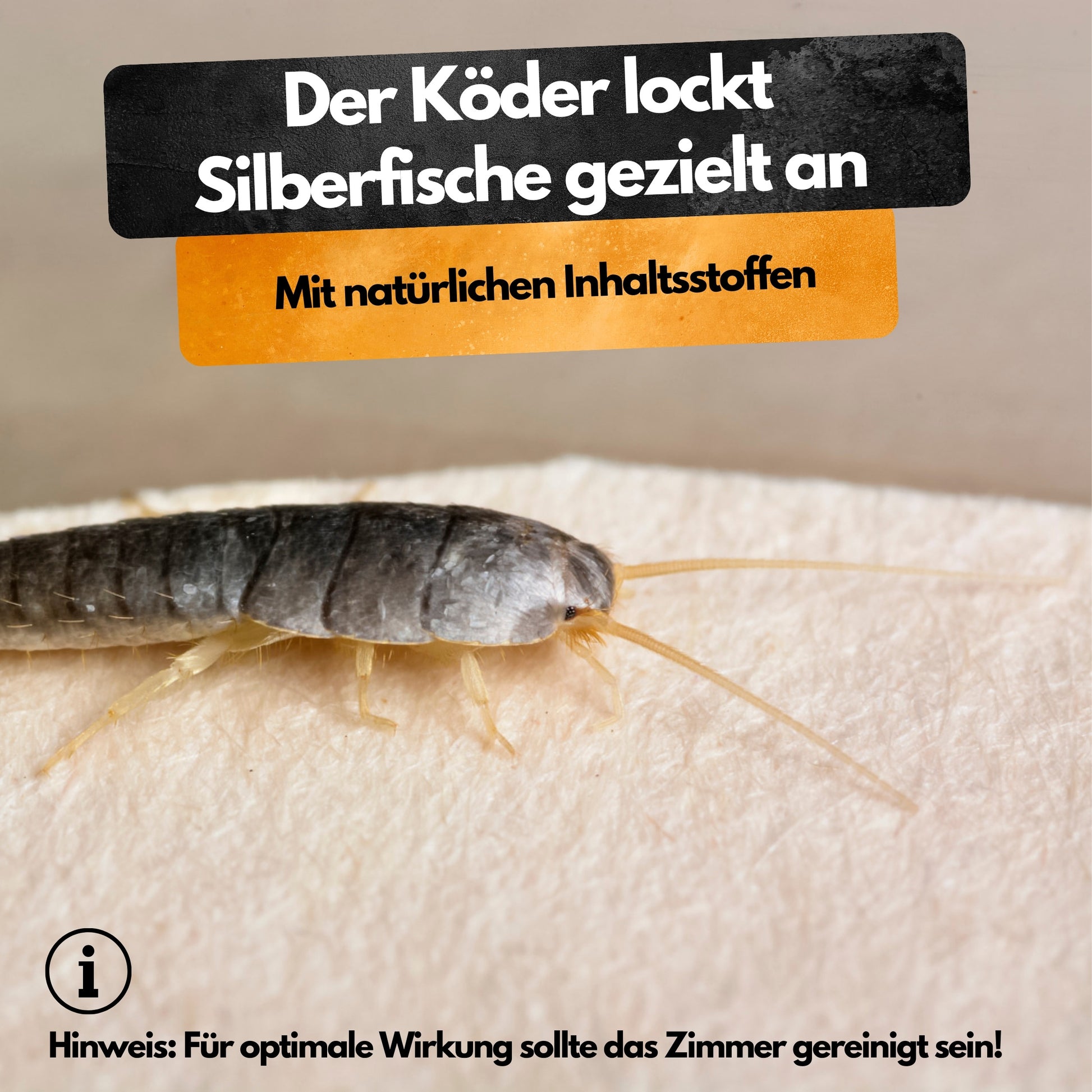 Silberfisch Falle - 6 Stück - Inkl. Köder - Zwei Fallen System - Monitoringfalle - 6 Stück