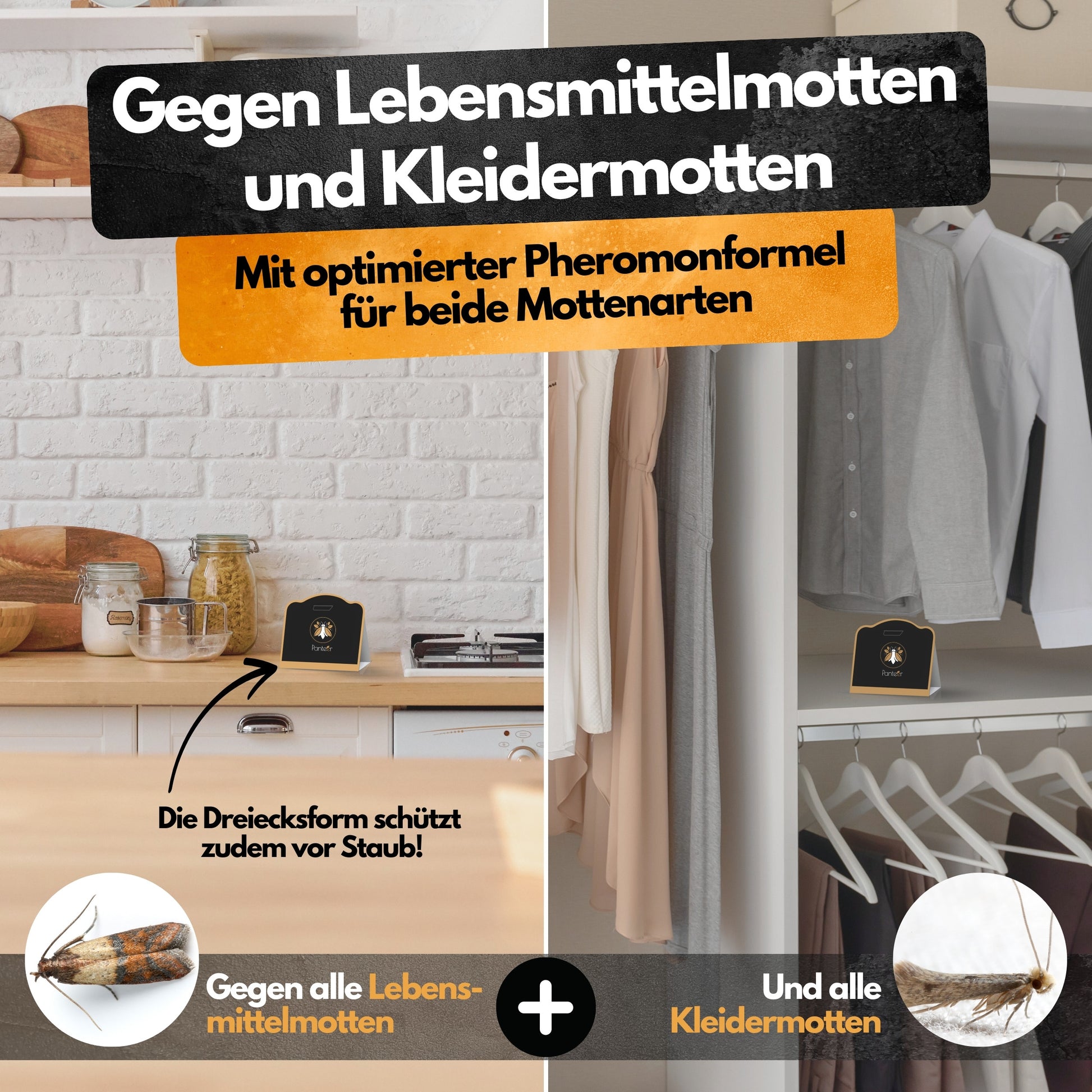 Mottenfalle - 6 Stück - Mottenschutz gegen 2 Mottenarten - Zum Monitoring