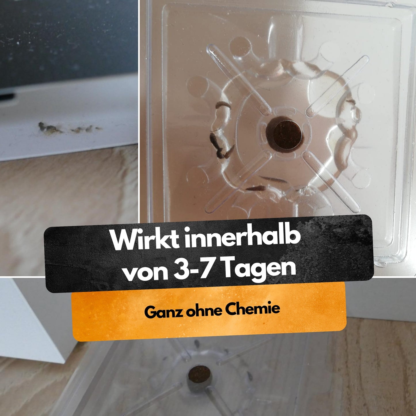 Silberfisch Falle - 6 Stück - Inkl. Köder - Zwei Fallen System - Monitoringfalle - 6 Stück