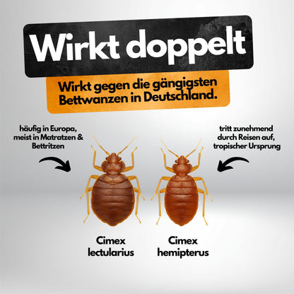 Bettwanzen Falle – 8 Stück