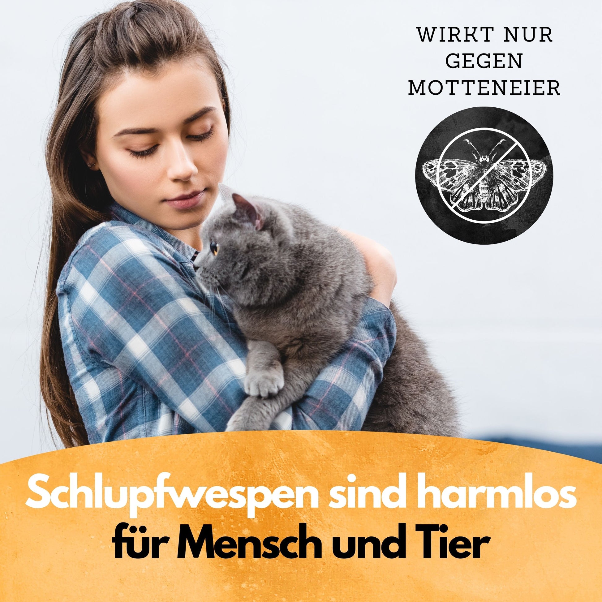 Schlupfwespen gegen Kleidermotten - 5 Lieferungen