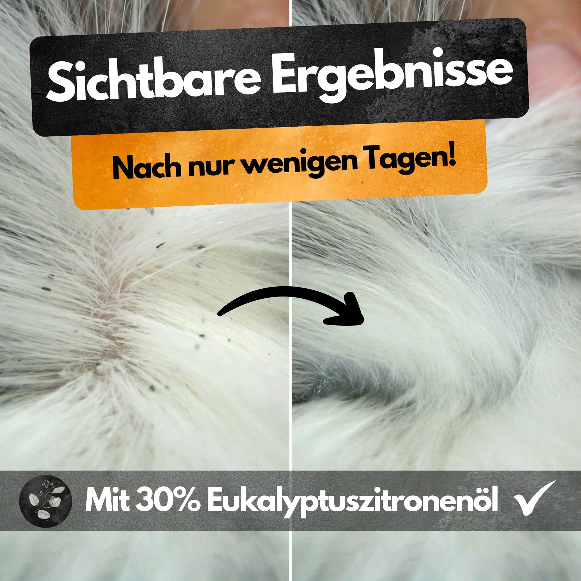 Spot On Repellent - 3 Tuben - Gegen Flöhe Zecken Läuse - Für Katzen und Hunde