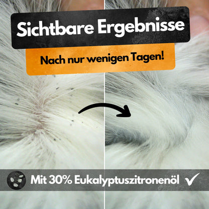 Spot On Repellent - 3 Tuben - Gegen Flöhe Zecken Läuse - Für Katzen und Hunde