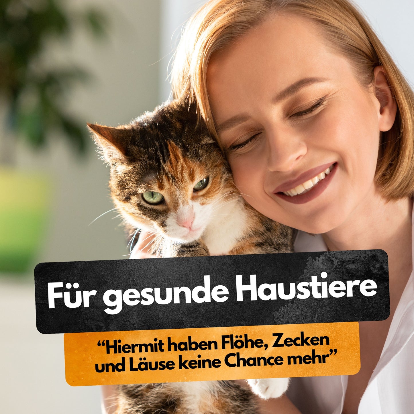 Spot On Repellent - 3 Tuben - Gegen Flöhe Zecken Läuse - Für Katzen und Hunde
