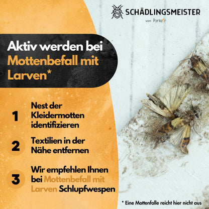 Kleidermotten Mottenfalle - 6 Stück - Pheromonfalle - Zum Monitoring - 6 Stück