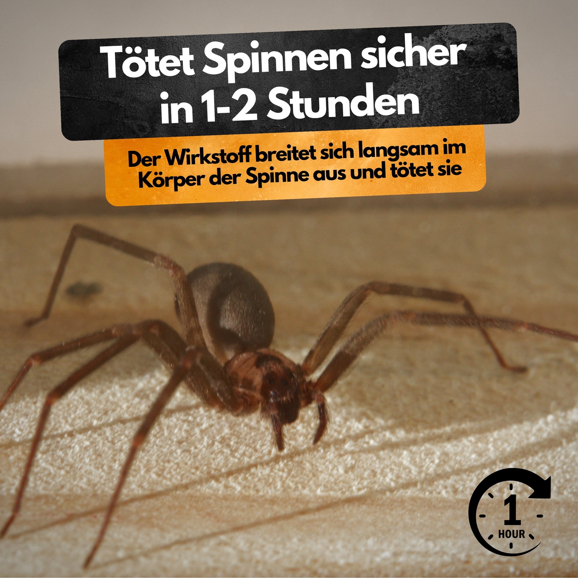Spinnenspray (AMP 2 CL) - 500ml