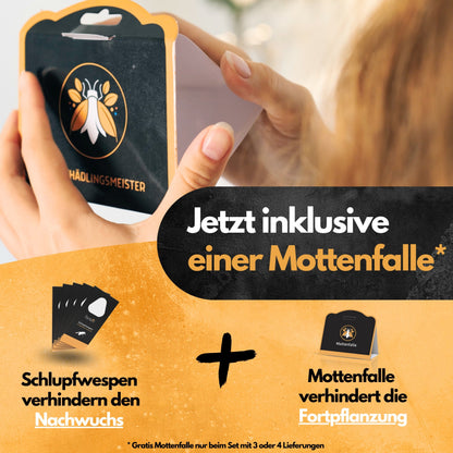 Schlupfwespen gegen Lebensmittelmotten + GRATIS Mottenfalle (mehrere Lieferungen)