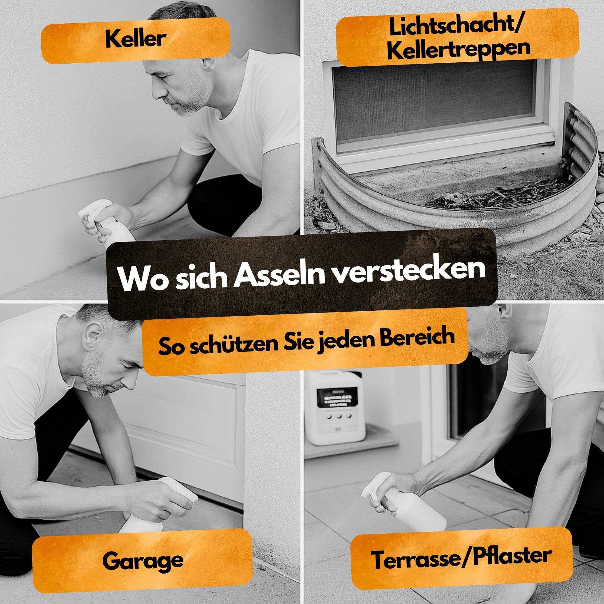 Gegen Asseln! – Insektenschutz Abwehrmittel Kanister – 5L - Anwendungsfertig