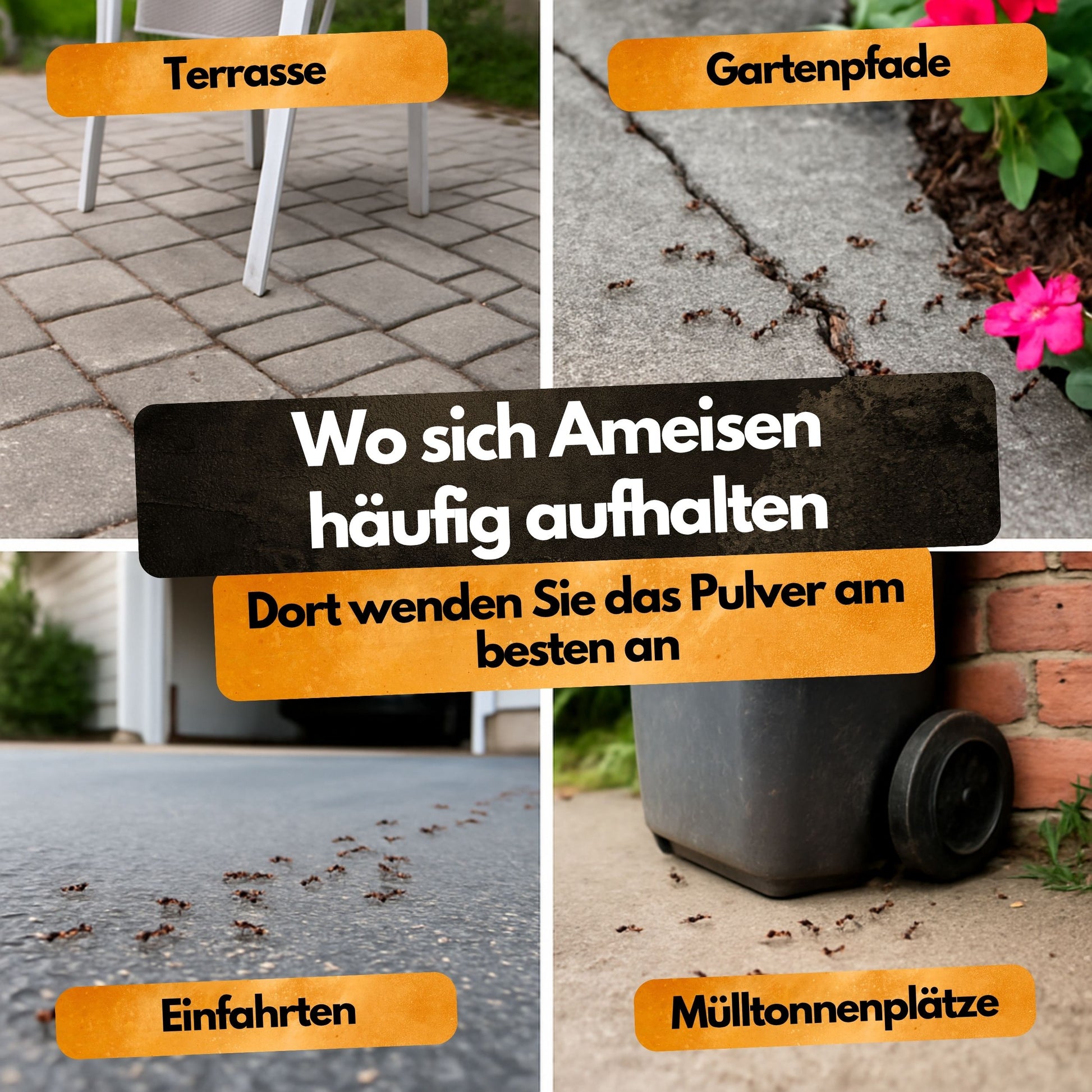 Ameisen Abwehr Pulver – 500 g – Für Innen & Außen – PT19 Repellent