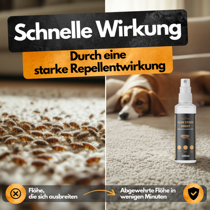 Floh Stopp Spray – 100 ml – Hoch konzentriert – 12 Wochen Langzeitschutz