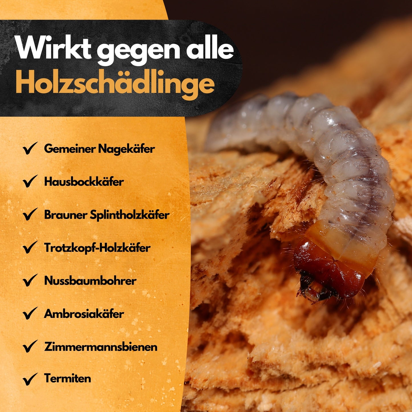 Holzwurmfrei - 2500ml - Holzschutzmittel - Biozidfrei - Produktion & Tests Made in Germany