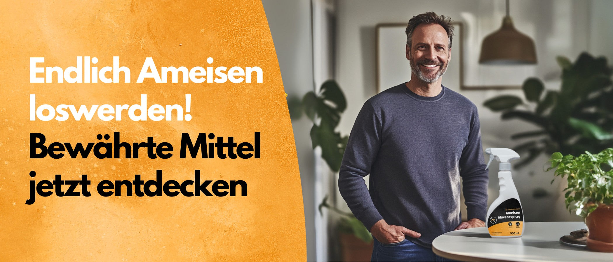 Die wichtigsten Ameisenarten