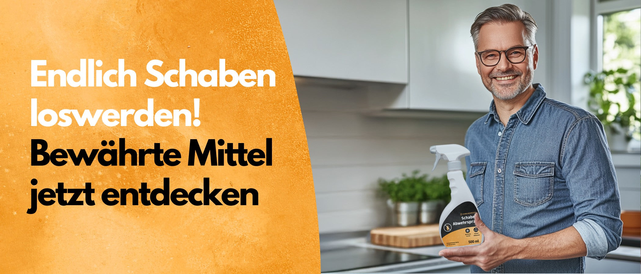 Endlich Schaben loswerden! Bewährte Produkte entdecken