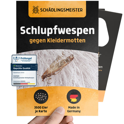 Schlupfwespen gegen Kleidermotten - 5 Lieferungen