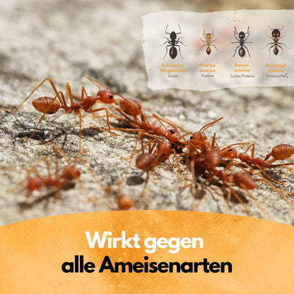 Ameisen-Ex Pulver - Ameisenstreu XXL - 5 Kg - Pulver