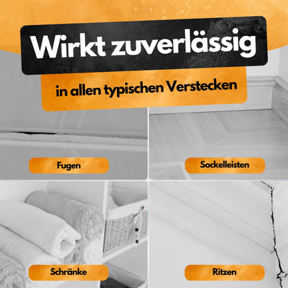 Gegen Silberfische! – Insektenschutz Abwehrmittel Kanister – 5L - Anwendungsfertig