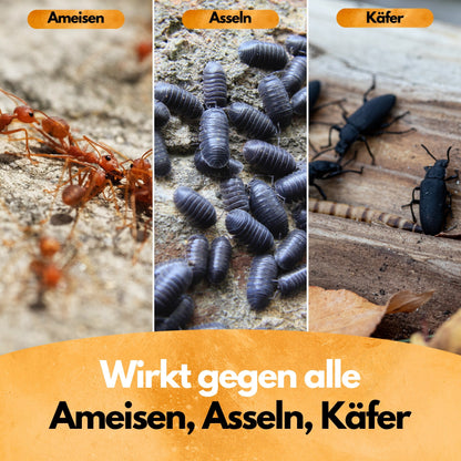 Ameisen Abwehr Pulver – 4 Kg XXL Set  – Für Innen & Außen