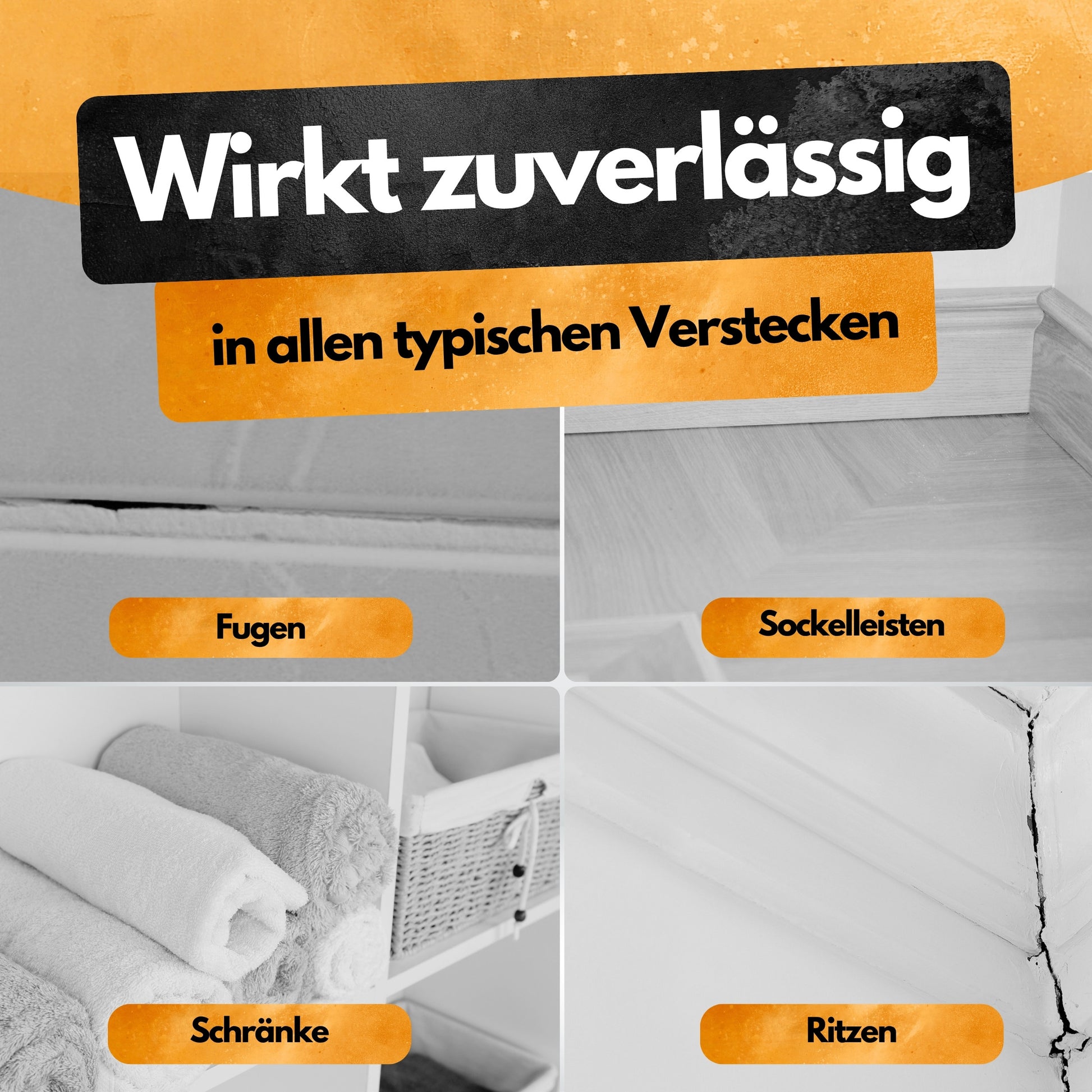 Silberfisch Insektizid! – Insekten Ex Kanister – 5L – Anwendungsfertig