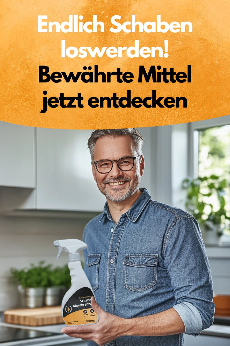 Endlich Schaben loswerden! Bewährte Produkte entdecken